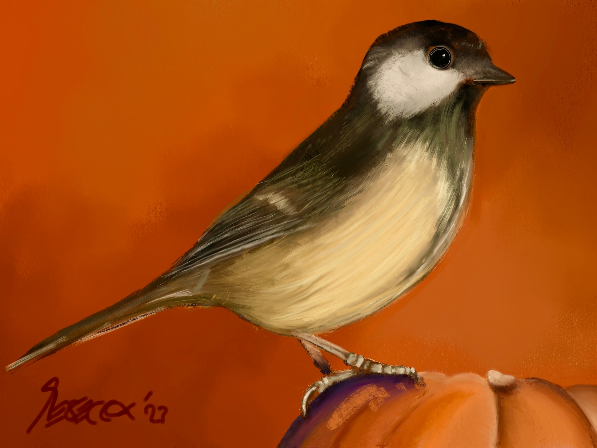 Autumn Bird on a pumpkin