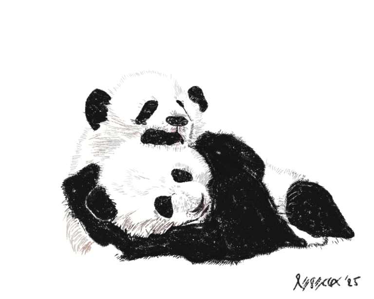 Draw A Panda