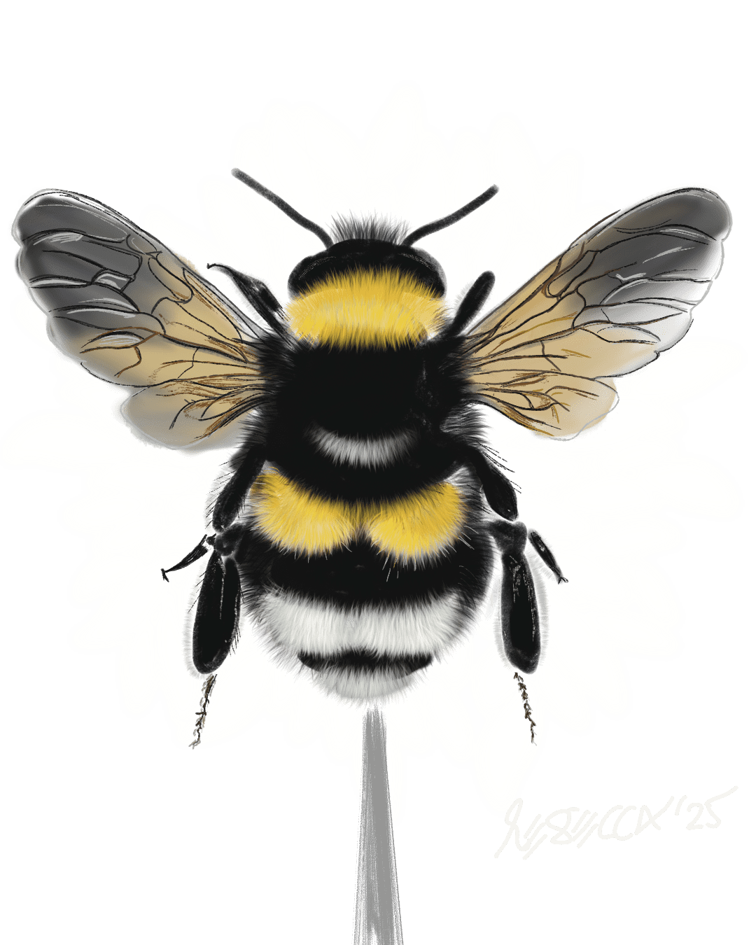 Painting A Bumble Bee