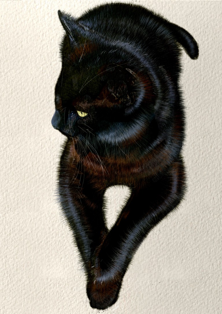 The Digital Art Debate