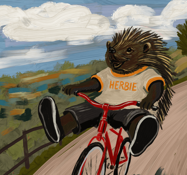 Painted artwork of Herbie the hedgehog freewheeling downhill on a red bicycle, wearing a cream T shirt with his name on it, surrounded by rolling countryside, trees, clouds and open sky.